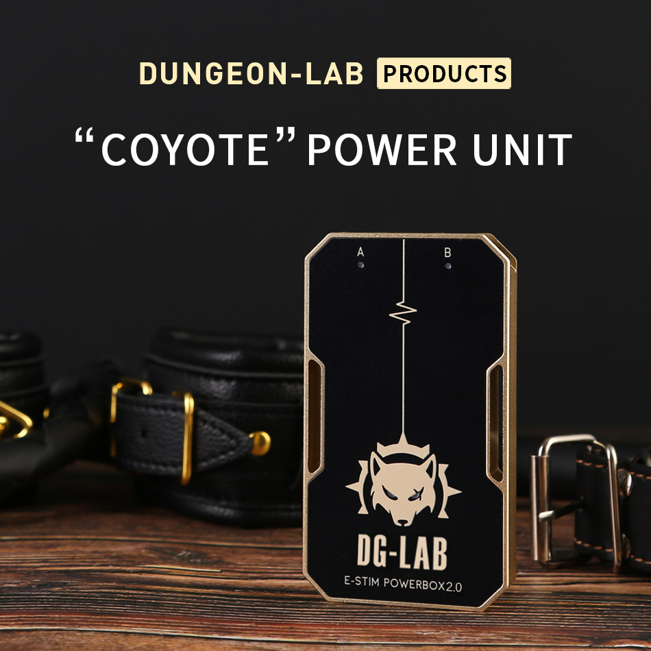 Dungeon-Lab - DG-Lab Coyote E-Stim Powerbox - Image 2